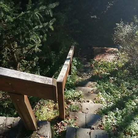 Rajecka Rajecka Lesna